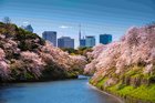 What are the Five Currency Pairs to Watch in April 2025 and Why?